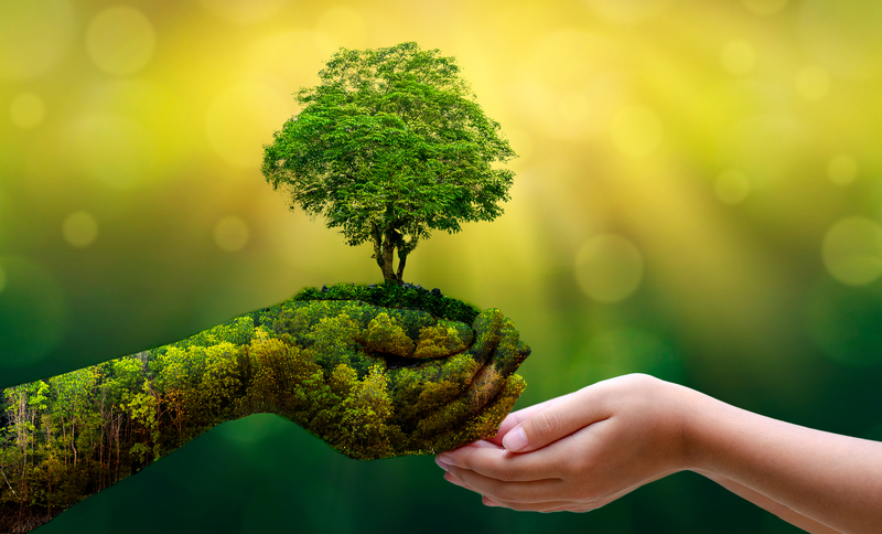 green is the new luxury
