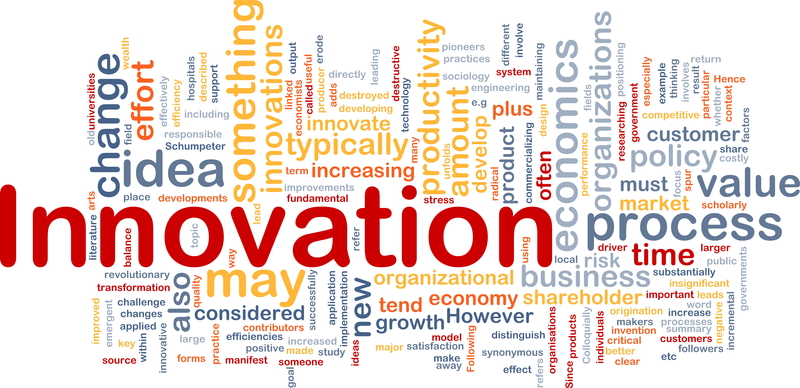 value-innovation-leadership-business-shmulablog