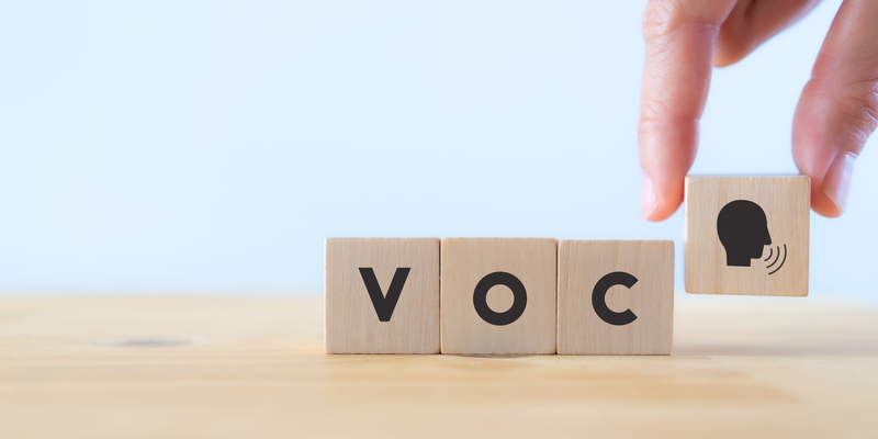 voice of the customer